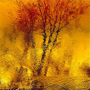 Ode to Joy - denis colette - flickr.com